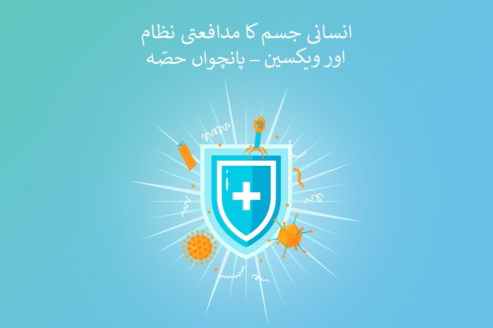 انسانی جسم کا مدافعتی نظام اور ویکسین – پانچواں حصّہ
