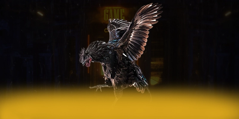 
Khám phá hành trình của 789WIN - Cổng game bài được tin dùng được quan tâm
