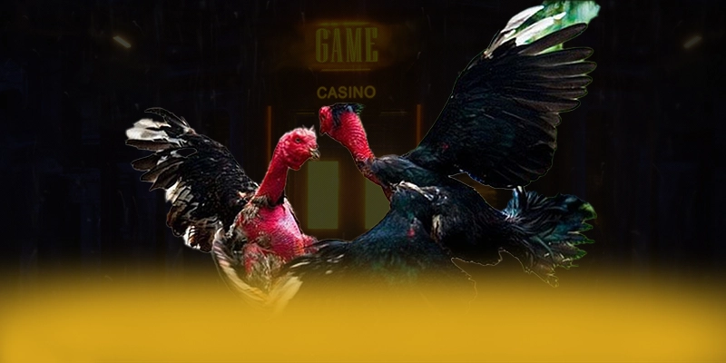 SA88 - Cổng game bài được yêu thích trên thị trường