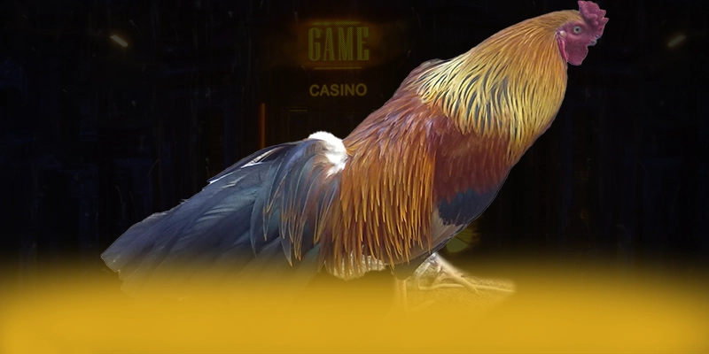 SA88 – Cổng game phổ biến nhất, được giới cược thủ đánh giá cao.