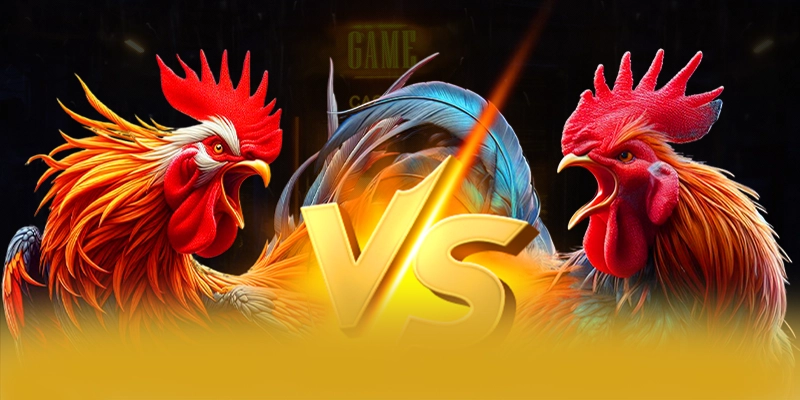 Cùng trải nghiệm SUNWIN - Cổng game bài được nhiều người chơi lựa chọn được giới cược thủ tin tưởng
Cùng trải nghiệm SUNWIN - Cổng game bài được nhiều người chơi lựa chọn được giới cược thủ tin tưởng