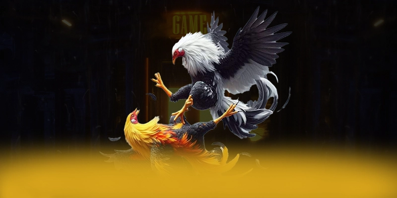 SUNWIN - Cổng trò chơi mượt mà được yêu thích nhất SUNWIN - Cổng trò chơi mượt mà được yêu thích nhất