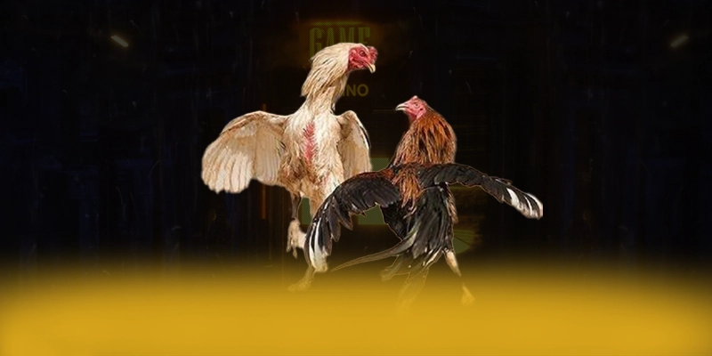 F8BET - Nhà cái minh bạch và uy tín chuẩn mực quốc tế F8BET - Nhà cái minh bạch và uy tín chuẩn mực quốc tế