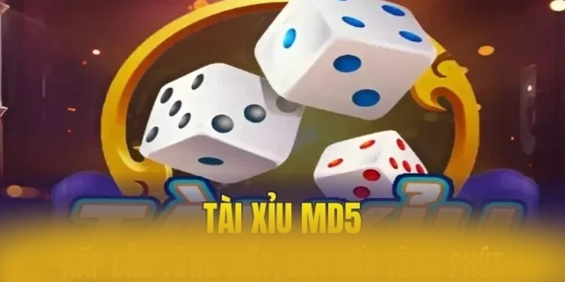 XO88 - Nhà cái hoạt động hợp pháp an toàn nhất