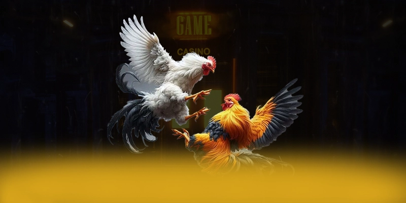 XO88 - Nhà cái sở hữu odds đem lại lợi nhuận tối đa cho người chơi XO88 - Nhà cái sở hữu odds đem lại lợi nhuận tối đa cho người chơi