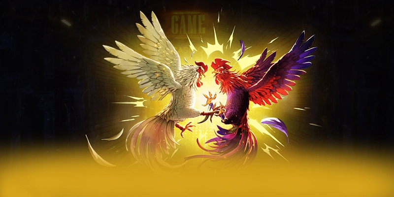 ZBET - Nền tảng cá cược hoạt động hợp pháp chuẩn mực quốc tế ZBET - Nền tảng cá cược hoạt động hợp pháp chuẩn mực quốc tế