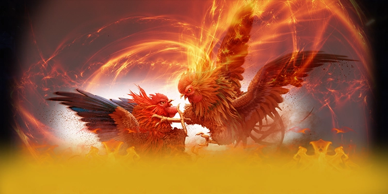 8XBET - Trải nghiệm trên thiết bị di động tối ưu